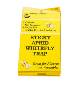 Yellow Sticky Aphid Whitefly Trap